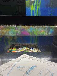 点击看大图 -酷嗒动物文化乐园(cutezoo西溪乐天城店)