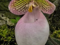 -北京植物园-展览温室