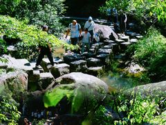 -广州白江湖森林公园