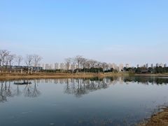 -洋湖国家湿地公园