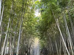 -苏州环秀晓筑养生度假村