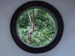 -虎跑公园