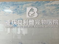 -宠颐生贝利健动物医院(谢家湾分院)
