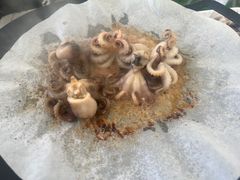 -不觉晓CAMPING(上海迪士尼营地店)