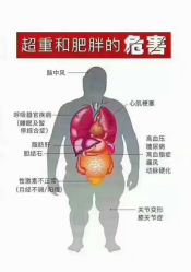 -香薇妮丝·定制减肥·身材管理