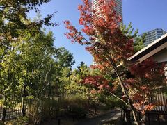 -维乐口腔医院(福清院)