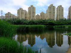 -前关湿地公园