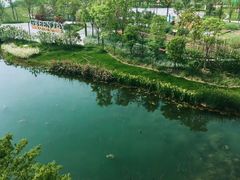 -水月周庄铂尔曼酒店-水月荟中餐厅