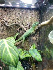 -酷嗒动物文化乐园(cutezoo西溪乐天城店)