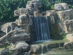 -上海野生动物园