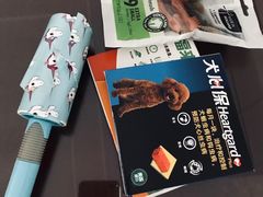 -我爱吾宠宠物美容院(朝阳路店)