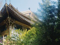 -曲水兰亭(北京四惠店)