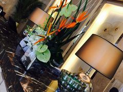 -常州环球恐龙城维景国际大酒店