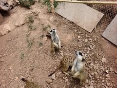 -昆明青龙峡风景区