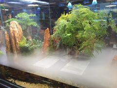 大堂-泰谷酒店·太古码头闽菜自助餐厅