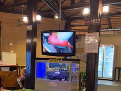 -渔家火锅·海鲜自助餐·演艺(亚龙湾天域酒店)
