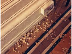 -Long Bar(莱佛士酒店)