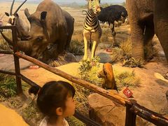 -陕西自然博物馆