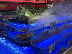 -鸽子侯·家宴·平价海鲜(绿地店)