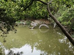 -汇龙潭