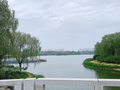 -大兴滨河森林公园