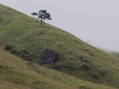 -萍乡武功山风景名胜区