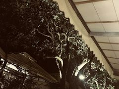 -爵士花园音乐酒吧餐厅