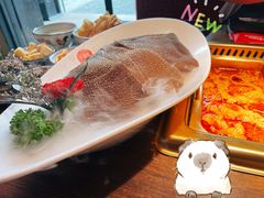 -九鼎轩脆毛肚火锅(三钢里店)