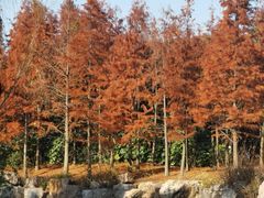 -狼山风景名胜区