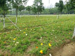 -艾溪湖湿地公园