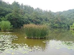 -天目湖山水园