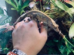 -Rabbit Cafe私房西餐甜点咖啡(栖霞路店)