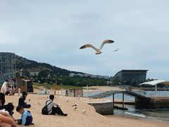 -海驴岛(荣成市)