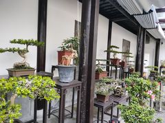 -个园