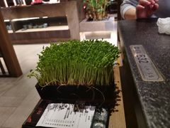 -湊湊火锅·茶憩(世博大道店)