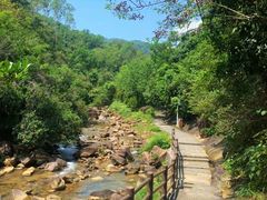 -广州白江湖森林公园