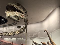 -自贡恐龙博物馆