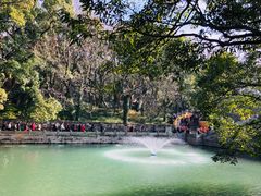 -普陀山风景名胜区-法雨禅寺