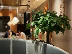 大堂-云海肴·汽锅鸡·云南菜(领展购物广场·中关村店)