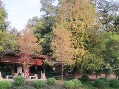 -中山市树木园
