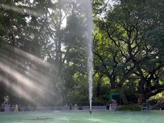-九龙公园