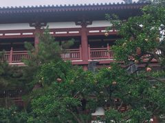 -西安华清御汤酒店