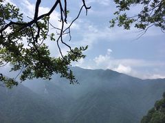 -陕西省红河谷森林公园
