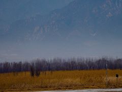 -野鸭湖国家湿地公园