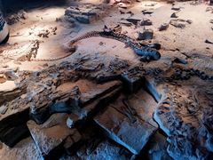 -自贡恐龙博物馆