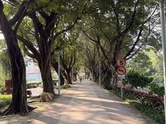 -荔湾湖公园
