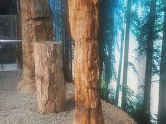 -延庆地质公园博物馆