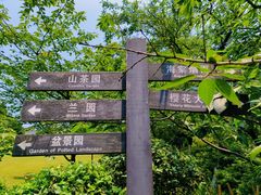 -南山植物园