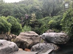-河源客天下-温泉小镇