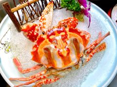 -金龙·打边炉(南京西路店)